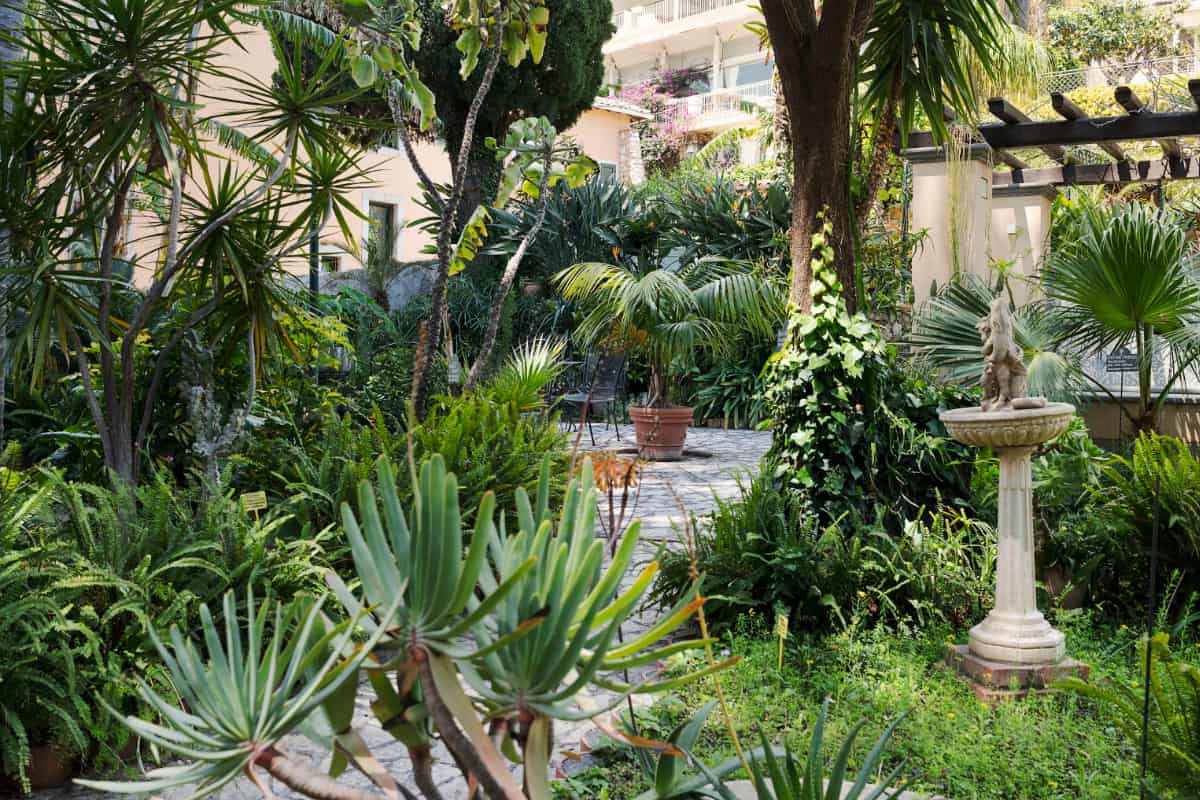 Giardino lussureggiante con varie piante verdi all'Hotel Villa Schuler, un rinomato hotel 4 stelle in Sicilia.