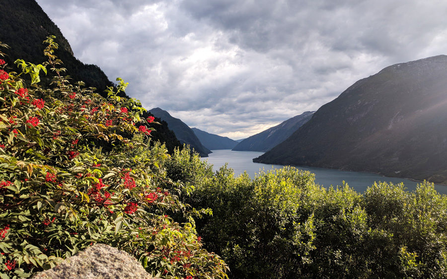 Instagram-taugliche Orte, die Sie auf Ihre Bucket List setzen sollten 6 Norwegen Sognefjord 900x563 1