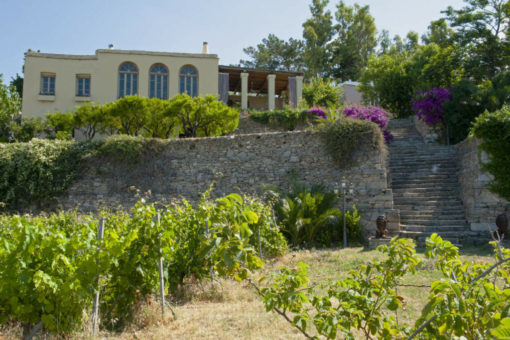 Montofoli Wine Estate gardens in Evia island, Greece.