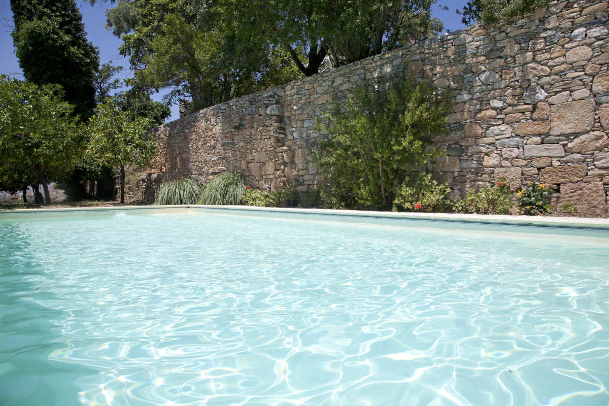 A pool with trees and a stone wall.