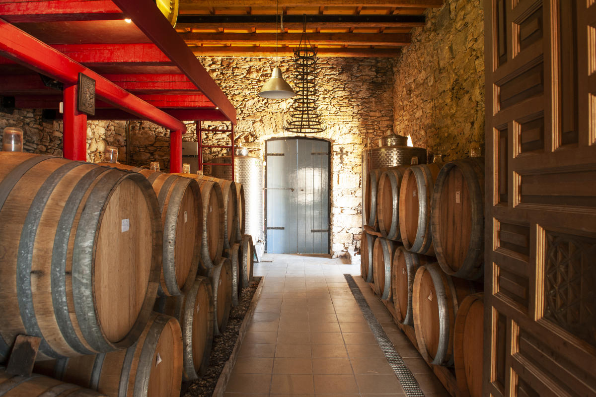 A room with barrels of wine.