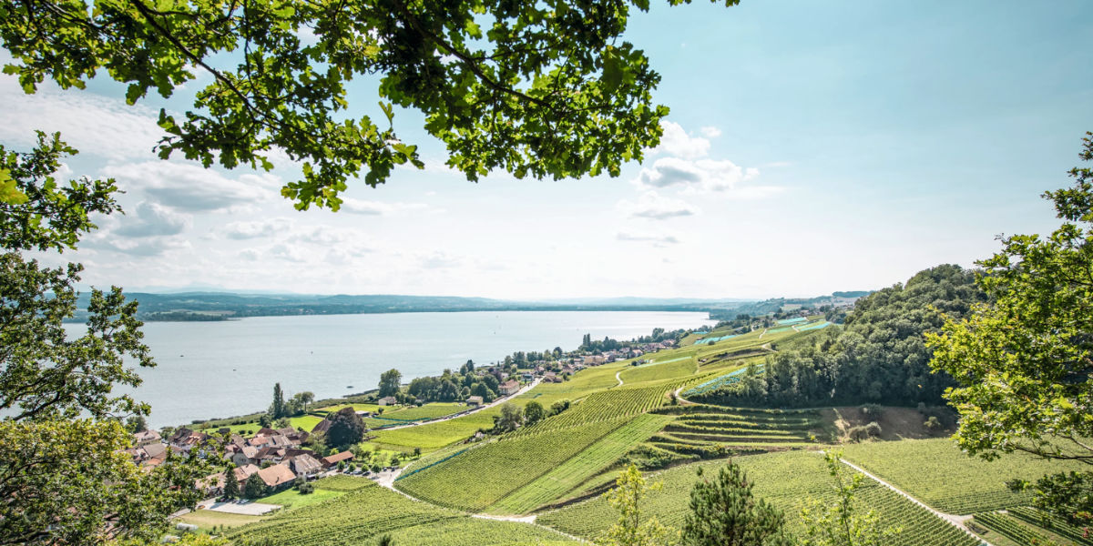View of the three lakes  region and vineyards in Switzerland, one of the top European destinations.