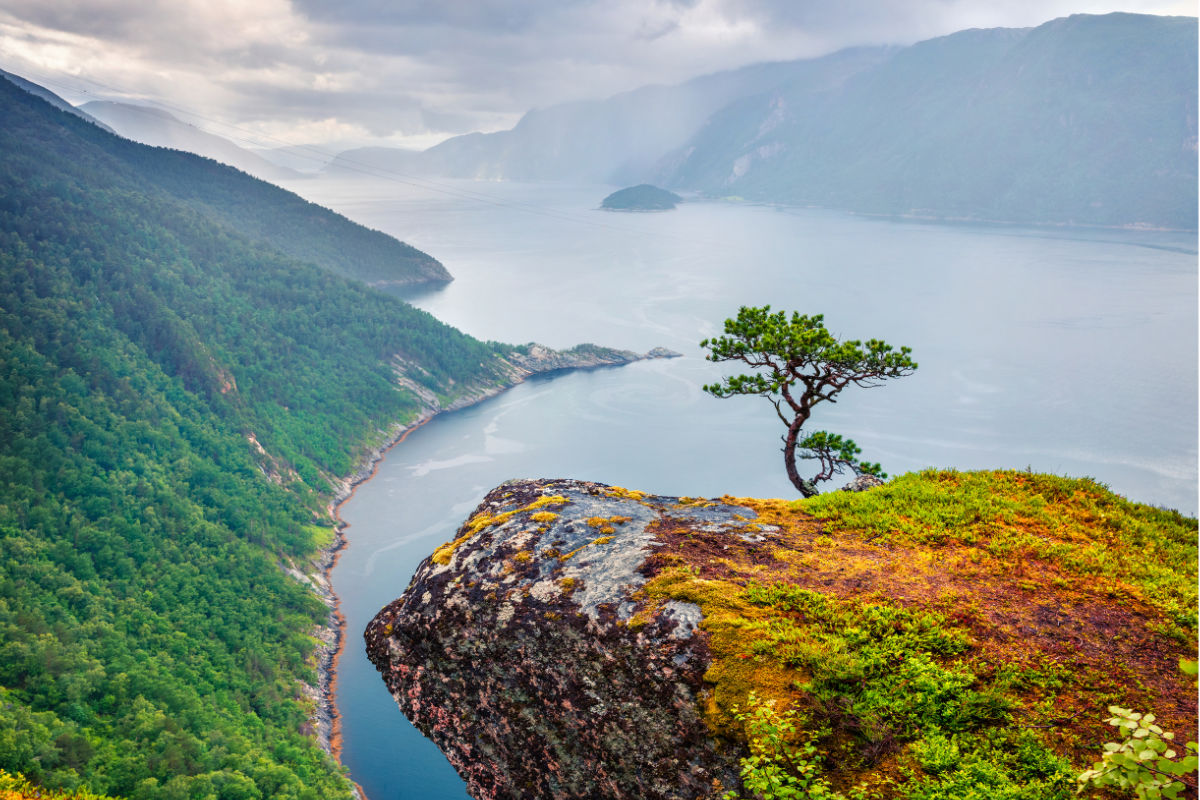 Blick über den Tingvollfjord in Norwegen, umgeben von üppigen, grünen Hügeln unter einem bewölkten Himmel.