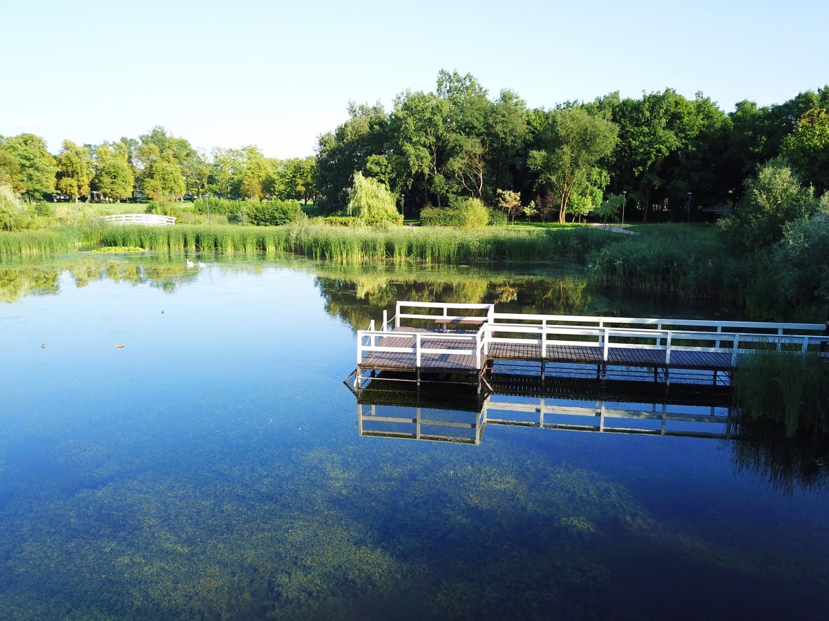 Una passerella in legno si estende su uno stagno calmo e riflettente, circondato da una vegetazione lussureggiante e da alberi che, nelle giornate limpide, ricordano i paesaggi sereni dell'Hotel Pałac Romantyczny.