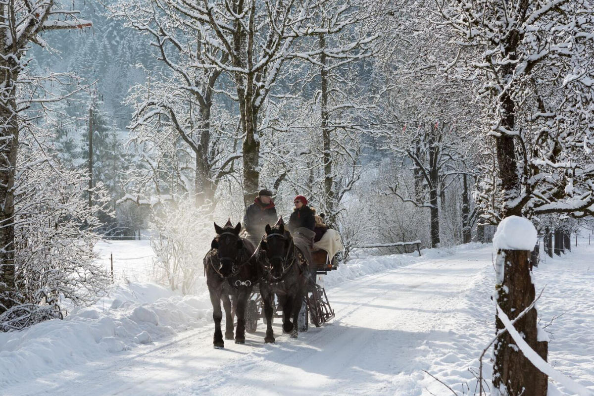 La beauté gelée de l'Europe : Hôtels historiques à visiter en hiver, image size:1200x800