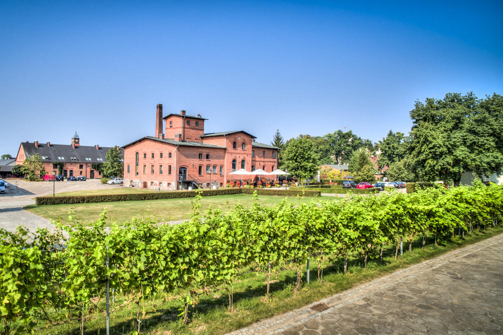 Bâtiment en briques au toit rouge entouré de verdure et d'un vignoble, sur fond de ciel bleu clair. Un chemin pavé longe le vignoble.