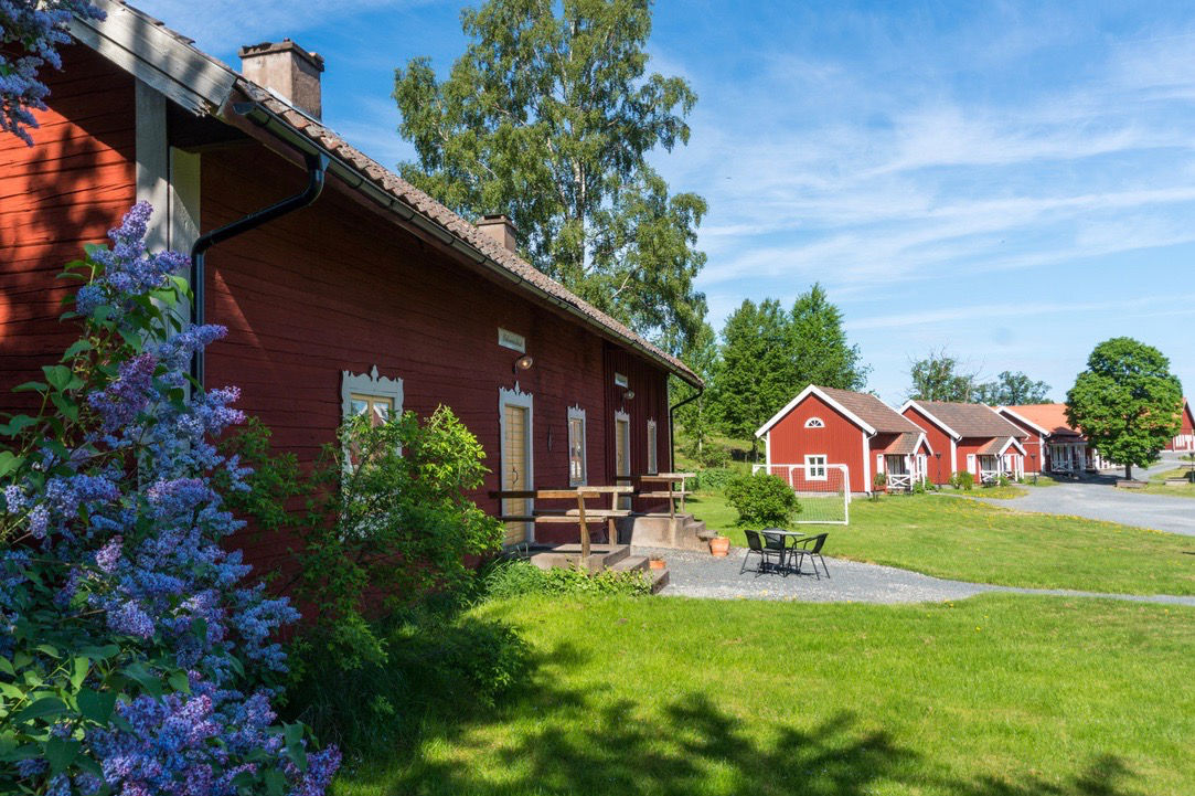 Les maisons en bois rouge avec des bordures blanches de Wallby Säteri sont situées sur une pelouse avec des meubles d'extérieur, des arbres et des buissons de lilas sous un ciel bleu clair.