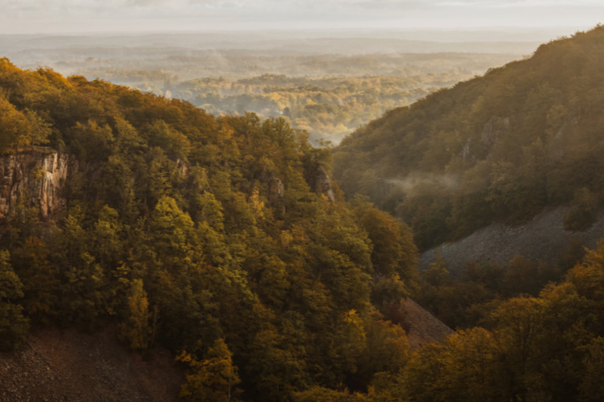 Vue large d'une vallée boisée avec des arbres denses verts et jaunes entre des collines rocheuses sous un ciel brumeux.