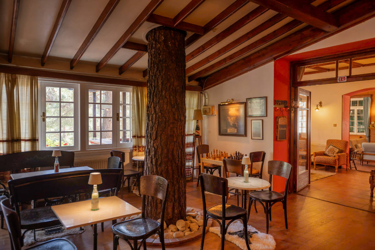 Un intérieur de café confortable avec des poutres en bois au plafond, plusieurs tables et chaises, et un grand tronc d'arbre qui pousse à travers le sol et le plafond. La lumière naturelle pénètre par les fenêtres.