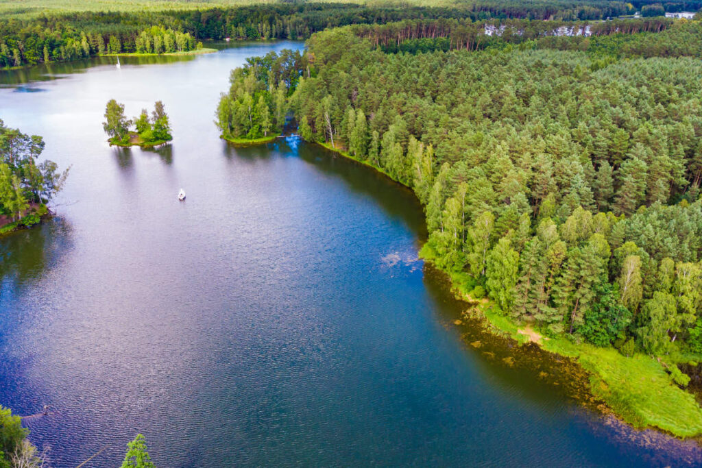 Escapadas otoñales: Explore los parques nacionales europeos a todo color 13 Vista aérea de las orillas del lago del Parque Nacional de Bory Tucholskie con densos árboles verdes, una pequeña isla y un único barco flotando en el agua.