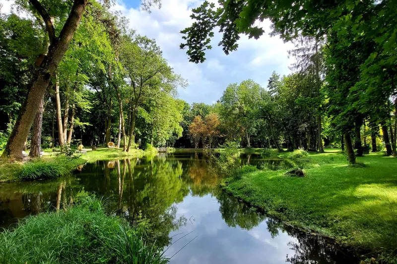 A calm pond surrounded by green grass and trees near Pałac Rozalin, with reflections of the trees visible in the water under a partly cloudy sky.