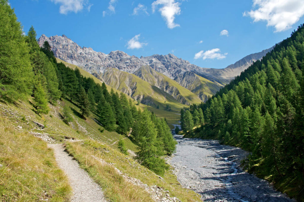 A rocky stream runs through a green valley lined with pine trees, with mountains rising in the background under a blue sky with scattered clouds.