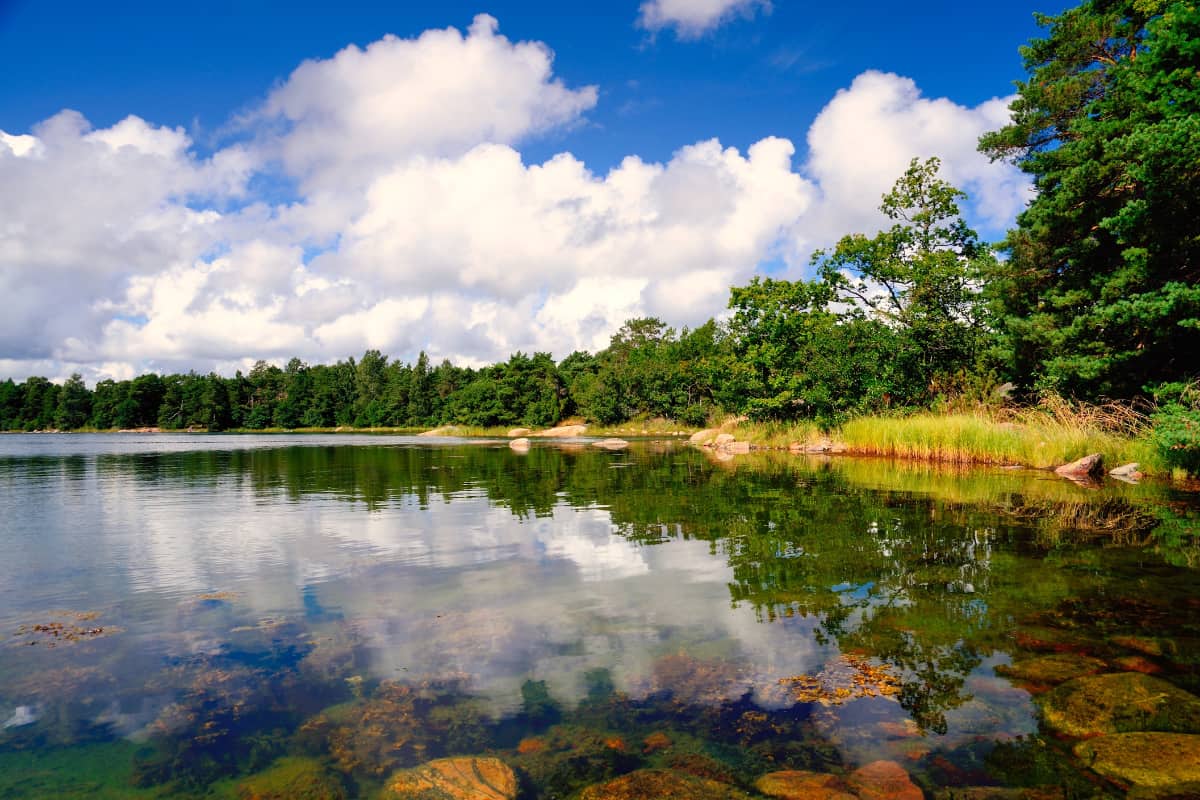 Un lago tranquilo de aguas cristalinas refleja árboles, follaje verde, rocas y un cielo azul con nubes dispersas en un día soleado.