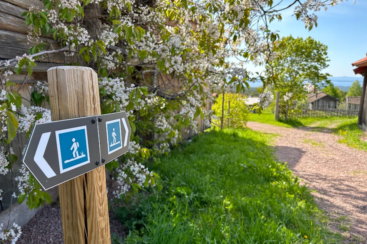 Wooden signpost with hiking trail symbols stands beside a path near Fryksås Hotell, bordered by flowering trees and a rustic wooden building under a clear sky.