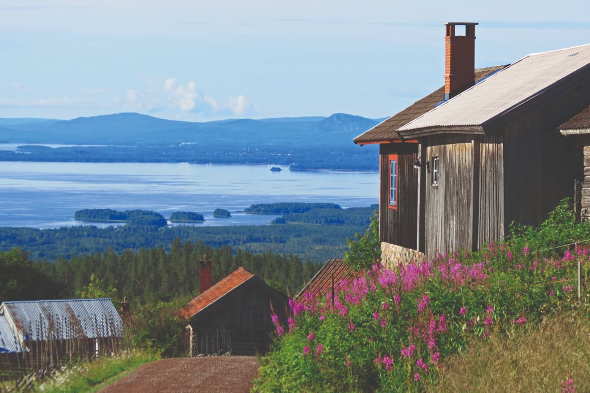 A wooden house on a hillside near Fryksås Hotell overlooks a lake with small islands, surrounded by green forest and pink wildflowers under a clear sky.