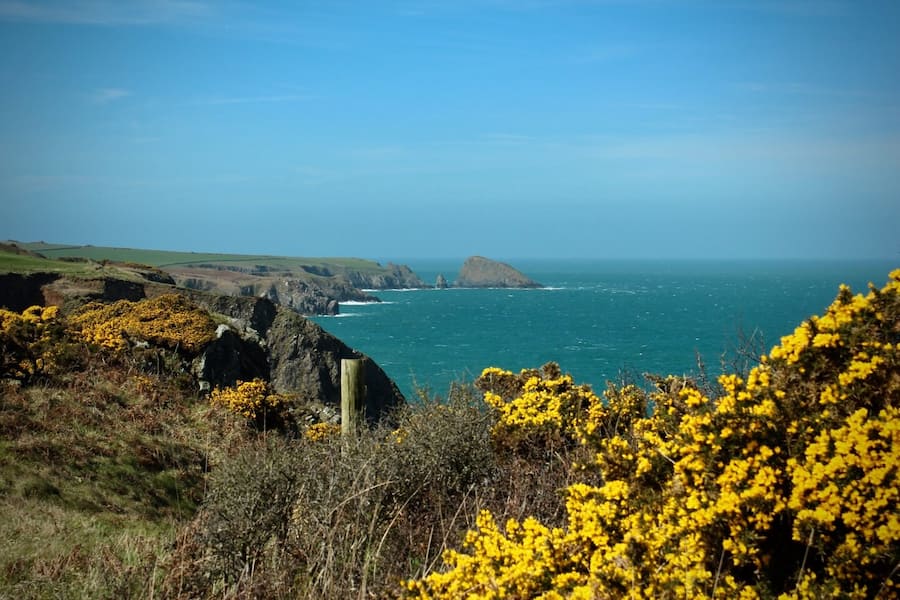 Belle come un quadro: cinque destinazioni europee che ispirano gli artisti 6 Panorama di una costa rocciosa con arbusti dai fiori gialli in primo piano, campi verdi sulle scogliere e l’oceano blu sotto un cielo limpido.