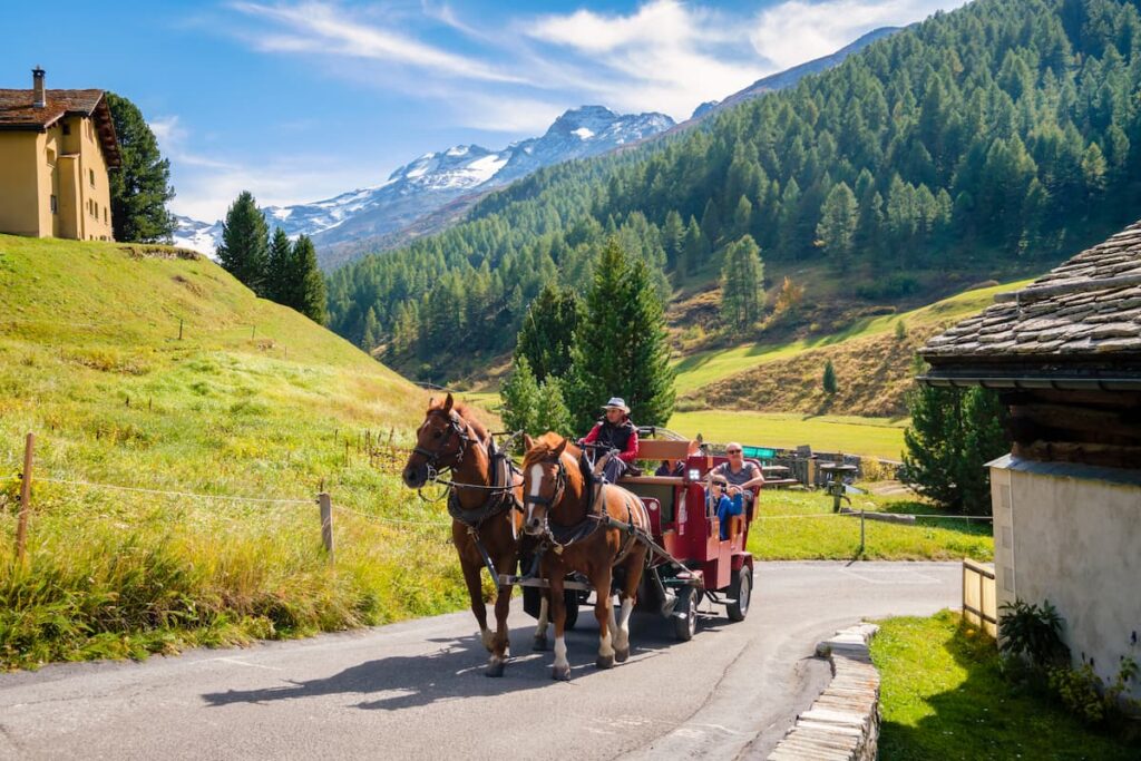 Discover Switzerland’s Golden Season: 6 Amazing Autumn Activities 3 A horse-drawn carriage carries people along a rural road surrounded by green hills, trees, and distant snow-capped mountains under a blue sky—a perfect scene for late summer activities.